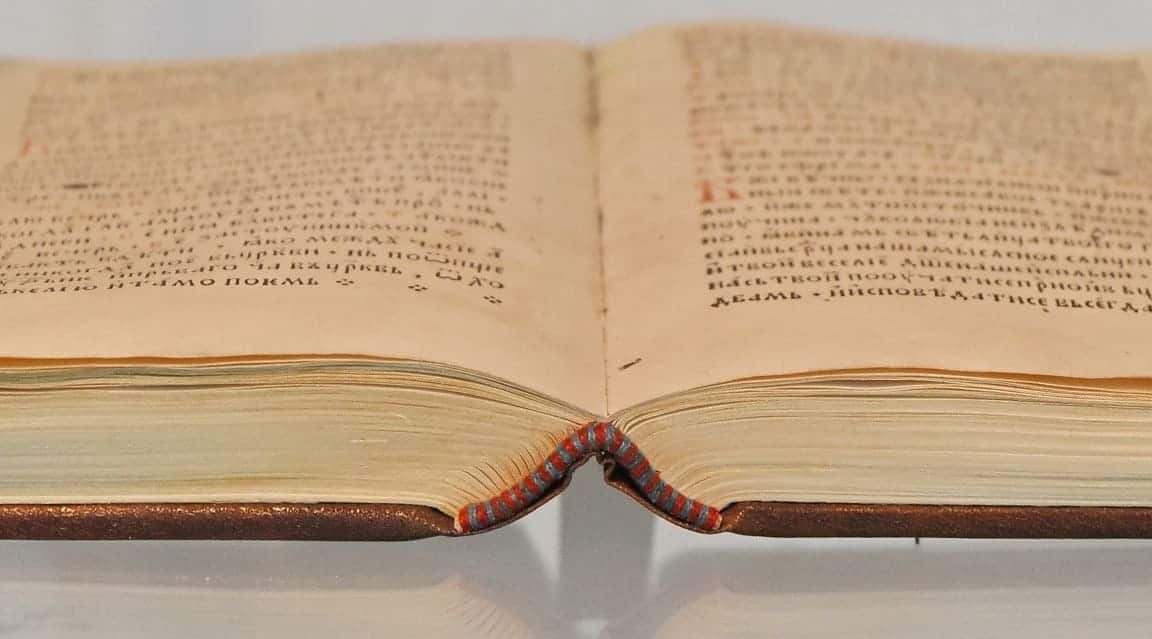 Écrire son premier roman au lycée ou à l’université : les erreurs à éviter